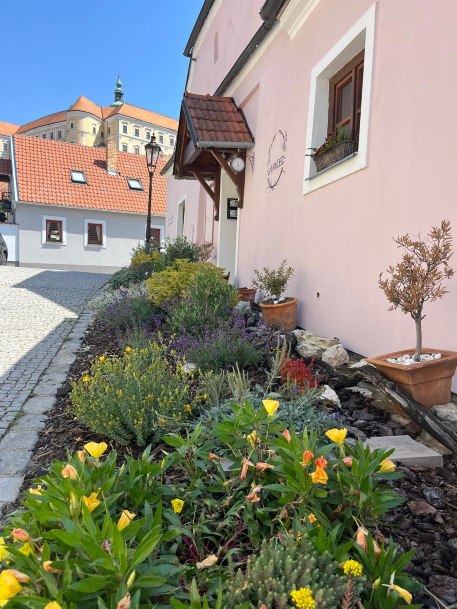 Apartmany Lavander Mikulov Apartment Mikulov