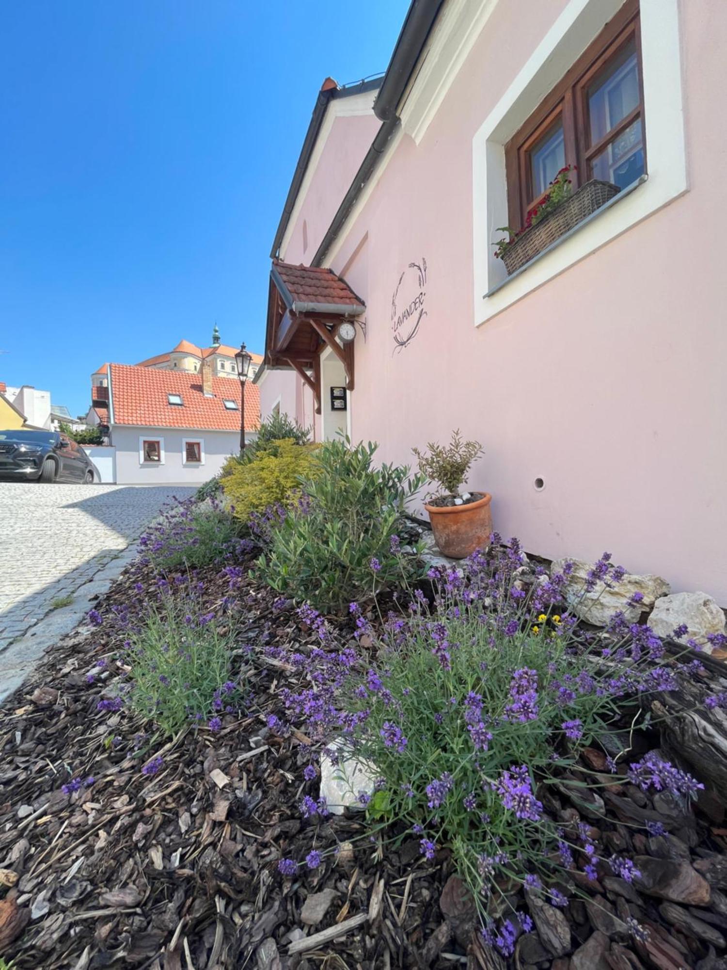 Apartment Apartmany Lavander Mikulov Mikulov